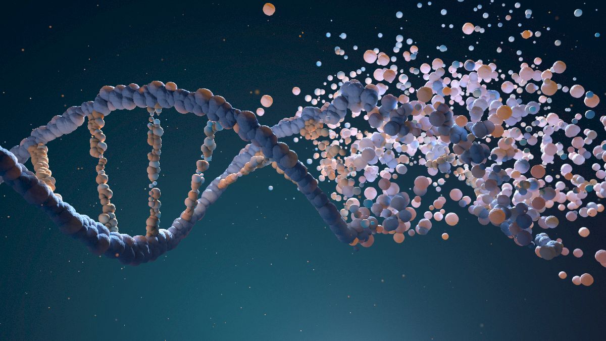 dna strand assembling from different elements 2021 08 26 15 33 02 utc